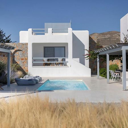 Villa Dione, Private Pool & Seaview By Naxos Dunes Kastraki  Ngoại thất bức ảnh